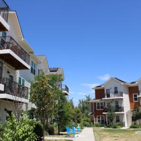 Apartments with a grassy lawn in the middle.