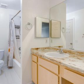 2510 Taft Dr Unit 308 bathroom