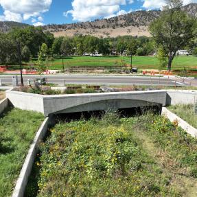 Close view of a concrete culvert carrying the flood channel under a street, with yellow wildflowers in the foreground and a park and foothills across the road.