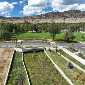 Wildflower-filled flood channel leading to a concrete culvert under the street, with a sidewalk and young trees to the right and a green park beyond.