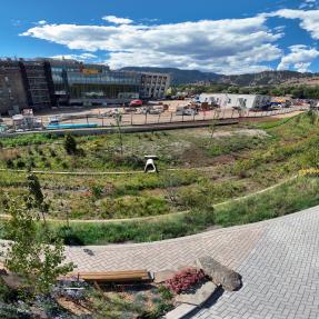 Panoramic photo of the Alpine Balsam Flood Channel