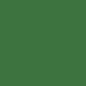 Dark Green Square