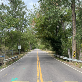 faded paved road between trees with roadway fencing