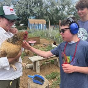 A child gently petting a chicken at a farm.