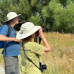 Two people standing next to a meadow looking through binoculars 