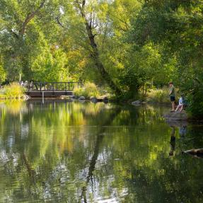 Evert Kids' Fishing Pond surrounded by trees 