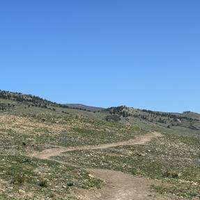 A narrow dirt trail winding along the side of a grassland hill.