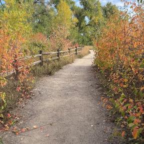 A dirt trail lined by red and yellow trees.