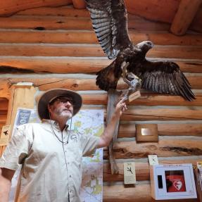 A person inside a log cabin pointing up at a large stuffed falcon on the wall.